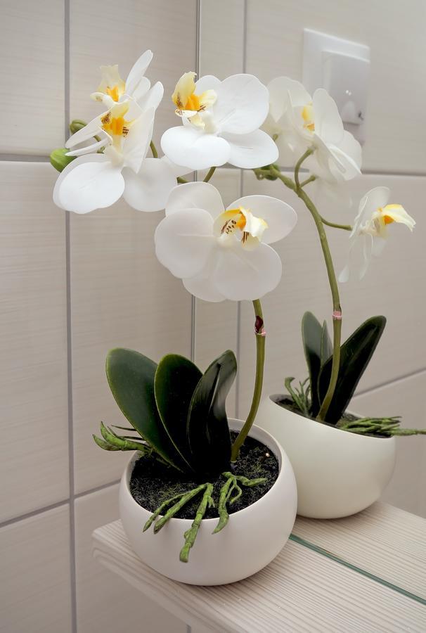 Apartamento Dreams Stradun *